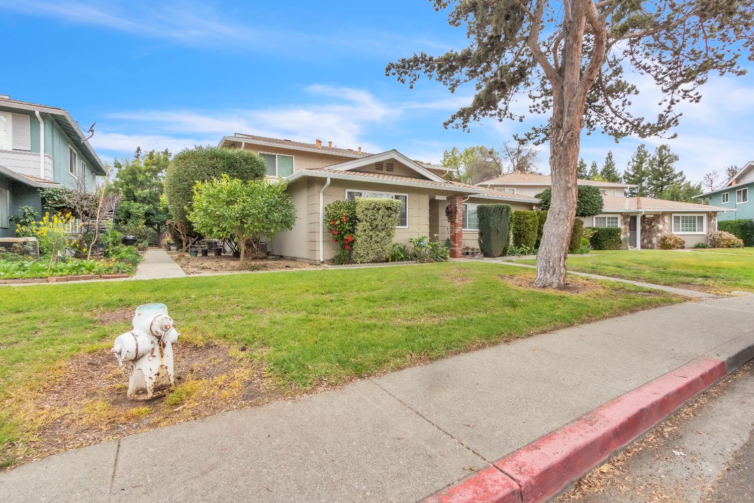 1369 Del Rio Circle D