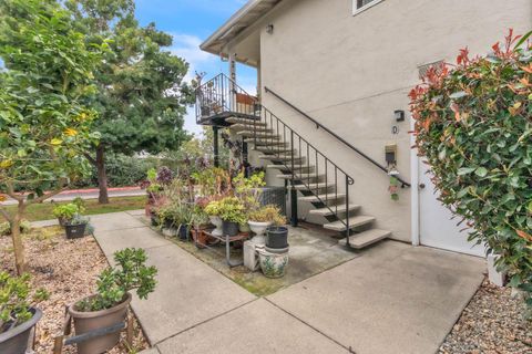 1369 Del Rio Circle D Concord CA 94518