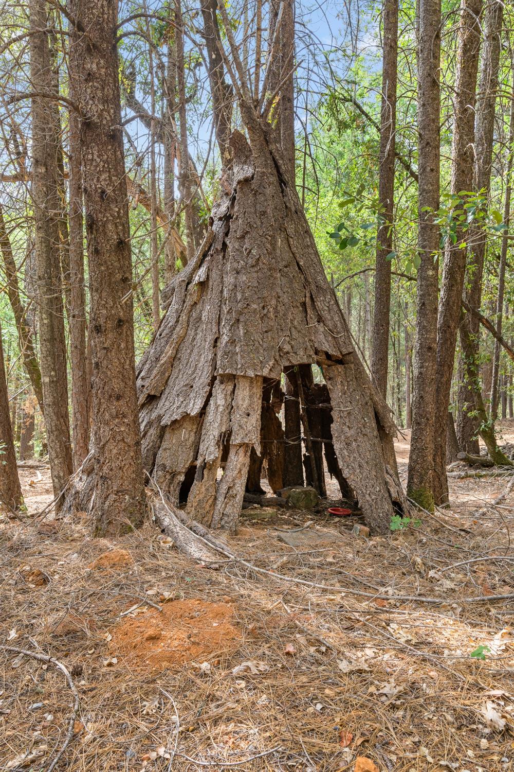 Nevada City, California 95959, United States, 2 Bedrooms Bedrooms, ,1 BathroomBathrooms,Residential,Active,38734