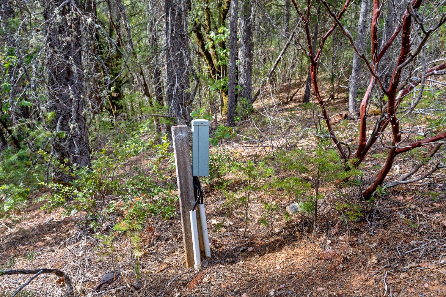 Nevada City, California 95959, United States, 2 Bedrooms Bedrooms, ,1 BathroomBathrooms,Residential,Active,38734