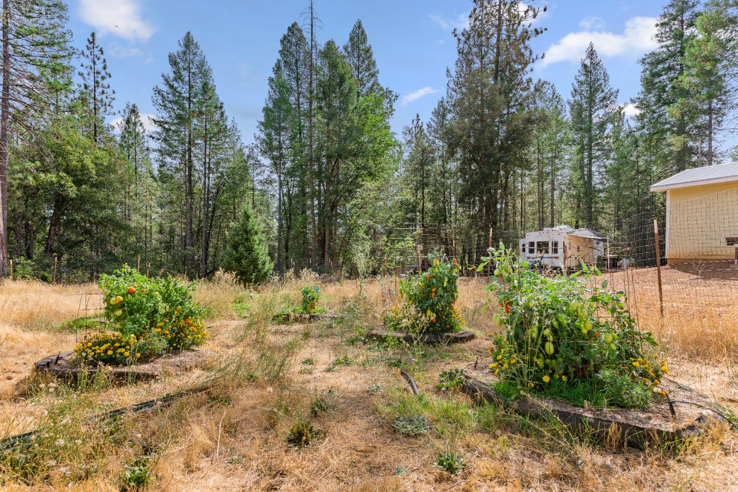 Nevada City, California 95959, United States, 2 Bedrooms Bedrooms, ,1 BathroomBathrooms,Residential,Active,38734