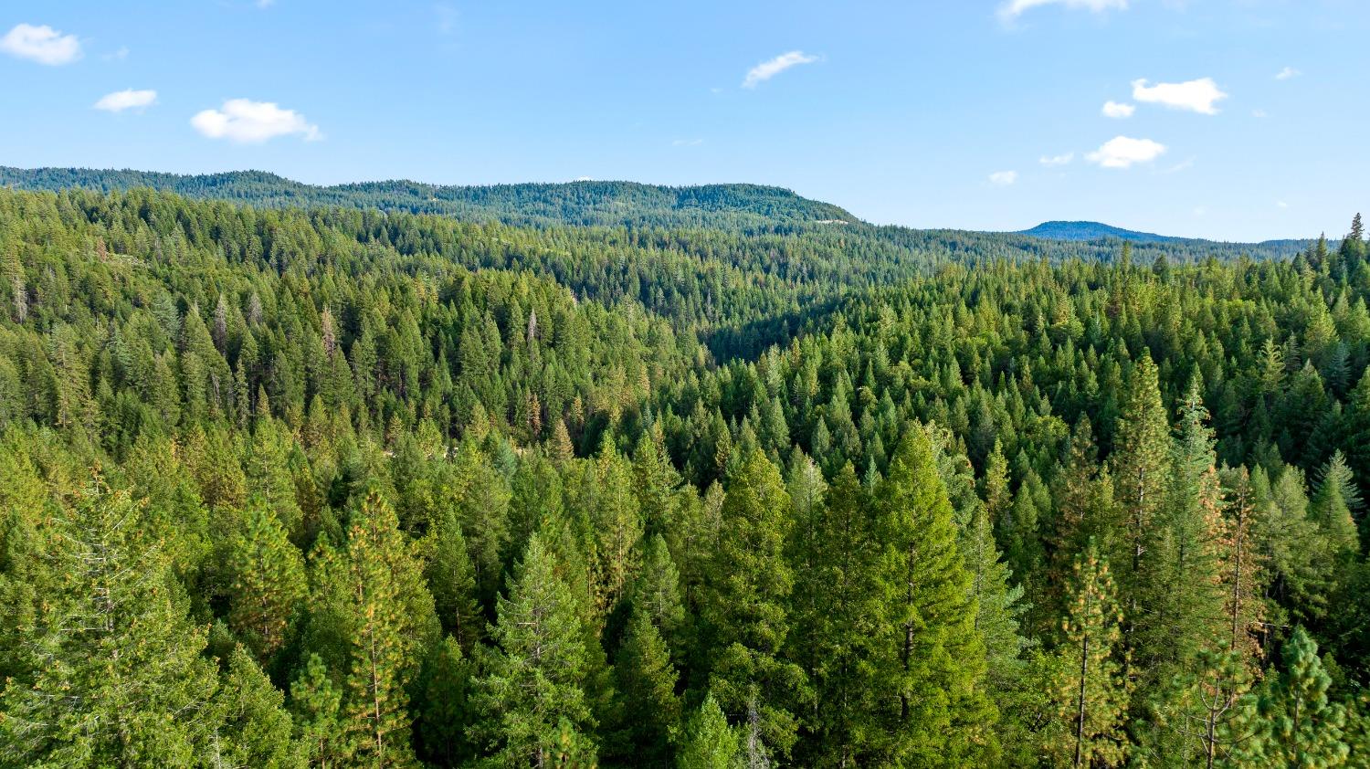 Nevada City, California 95959, United States, 2 Bedrooms Bedrooms, ,1 BathroomBathrooms,Residential,Active,38734