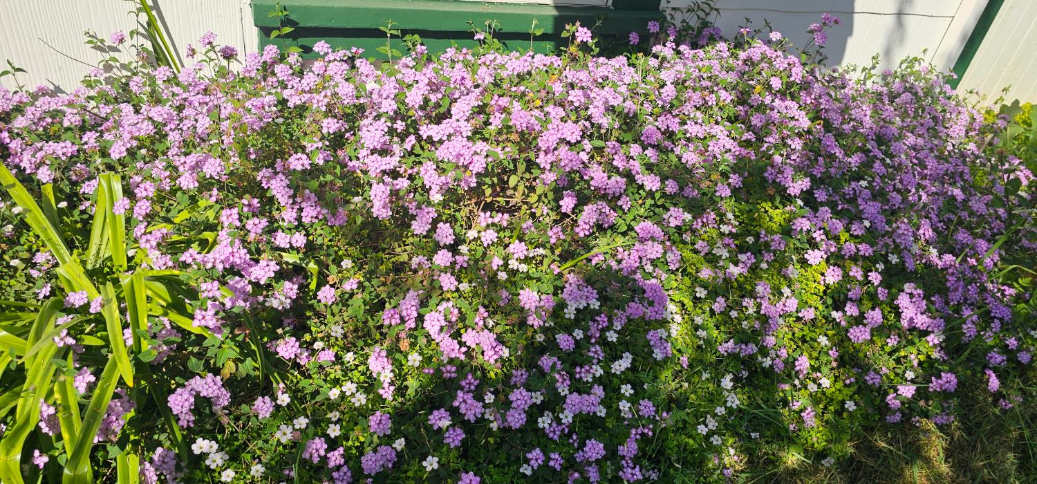 4701 Pennsylvania Avenue