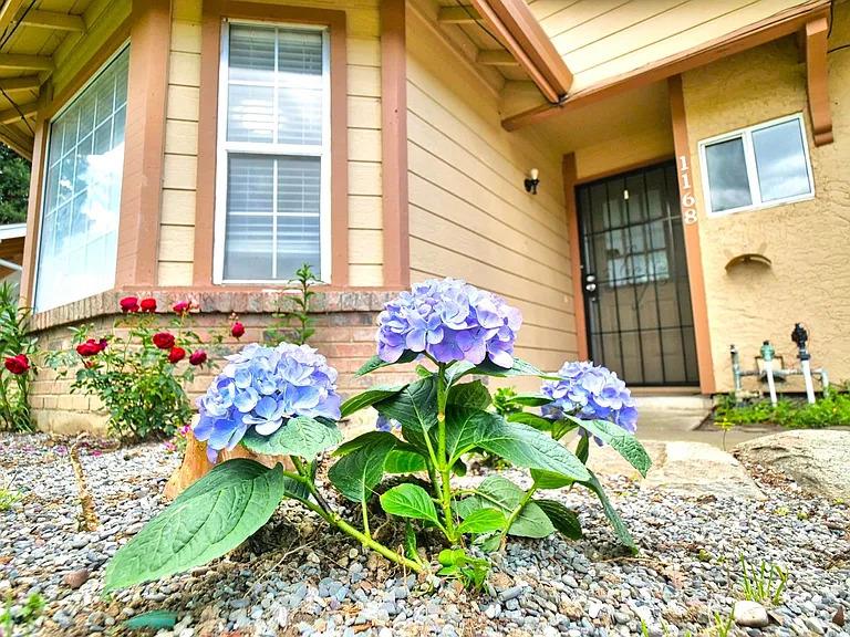1168 Pebblewood Drive