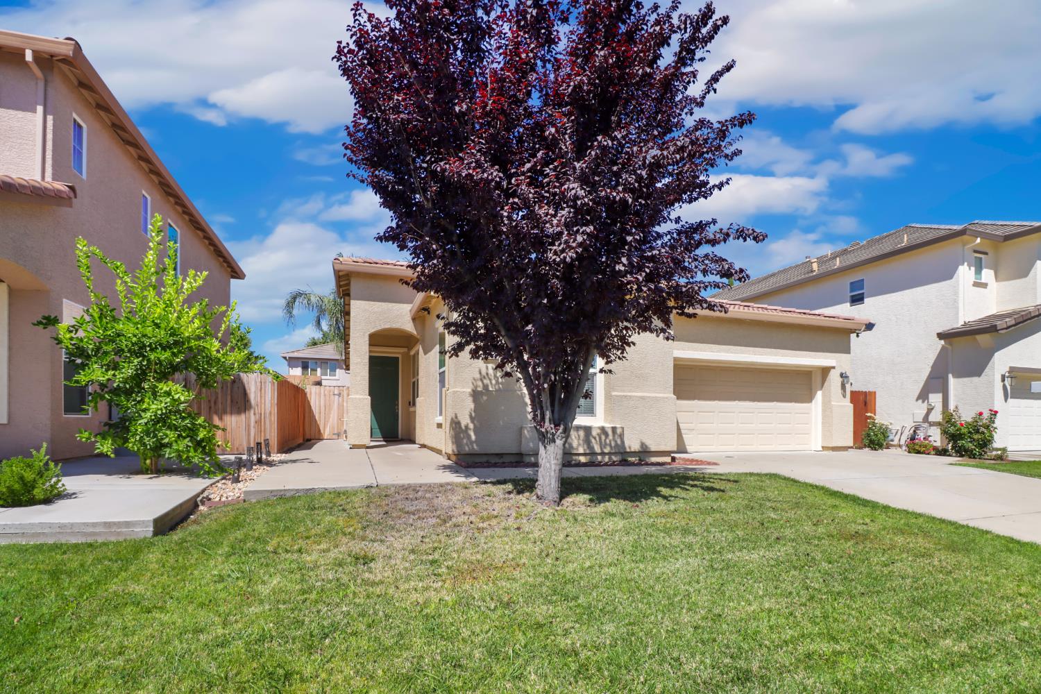 8682 Butterscoth Way