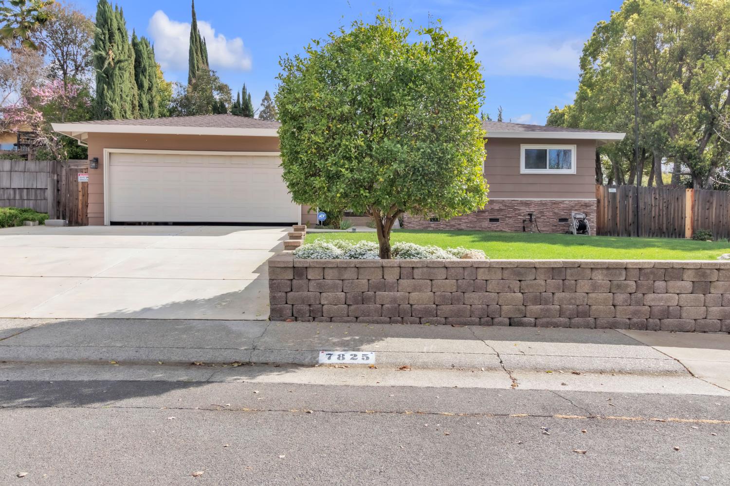 7825 Palmyra Drive