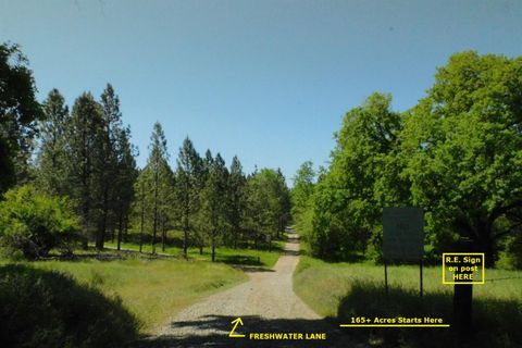 165 Freshwater Lane El Dorado CA 95623