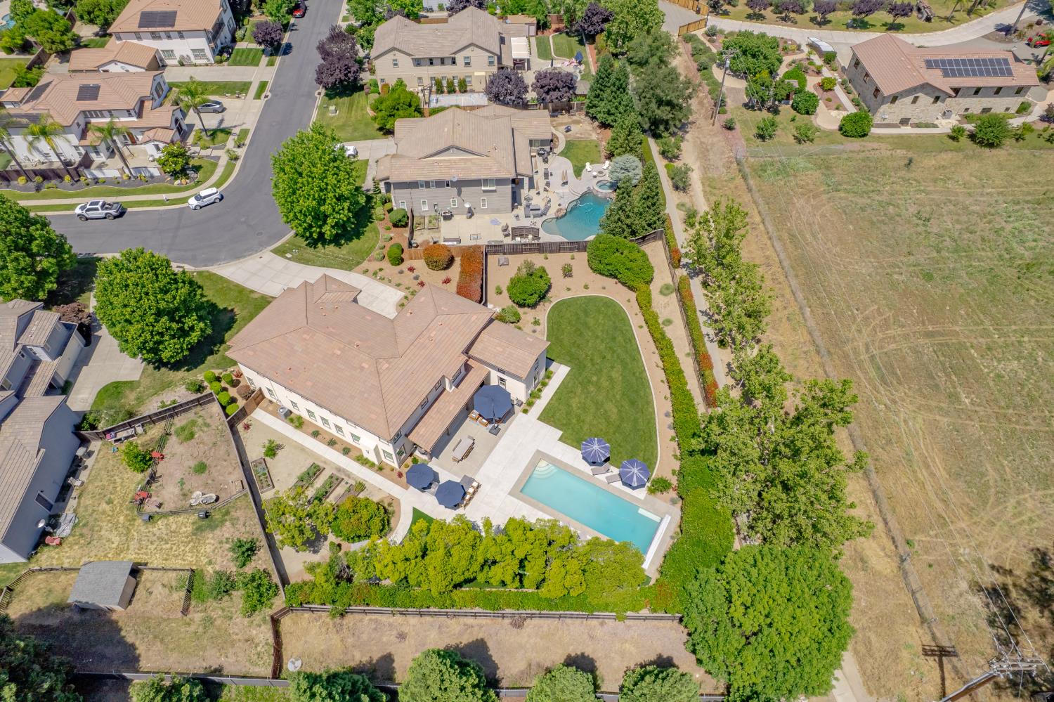 9765 Duckweed Street
