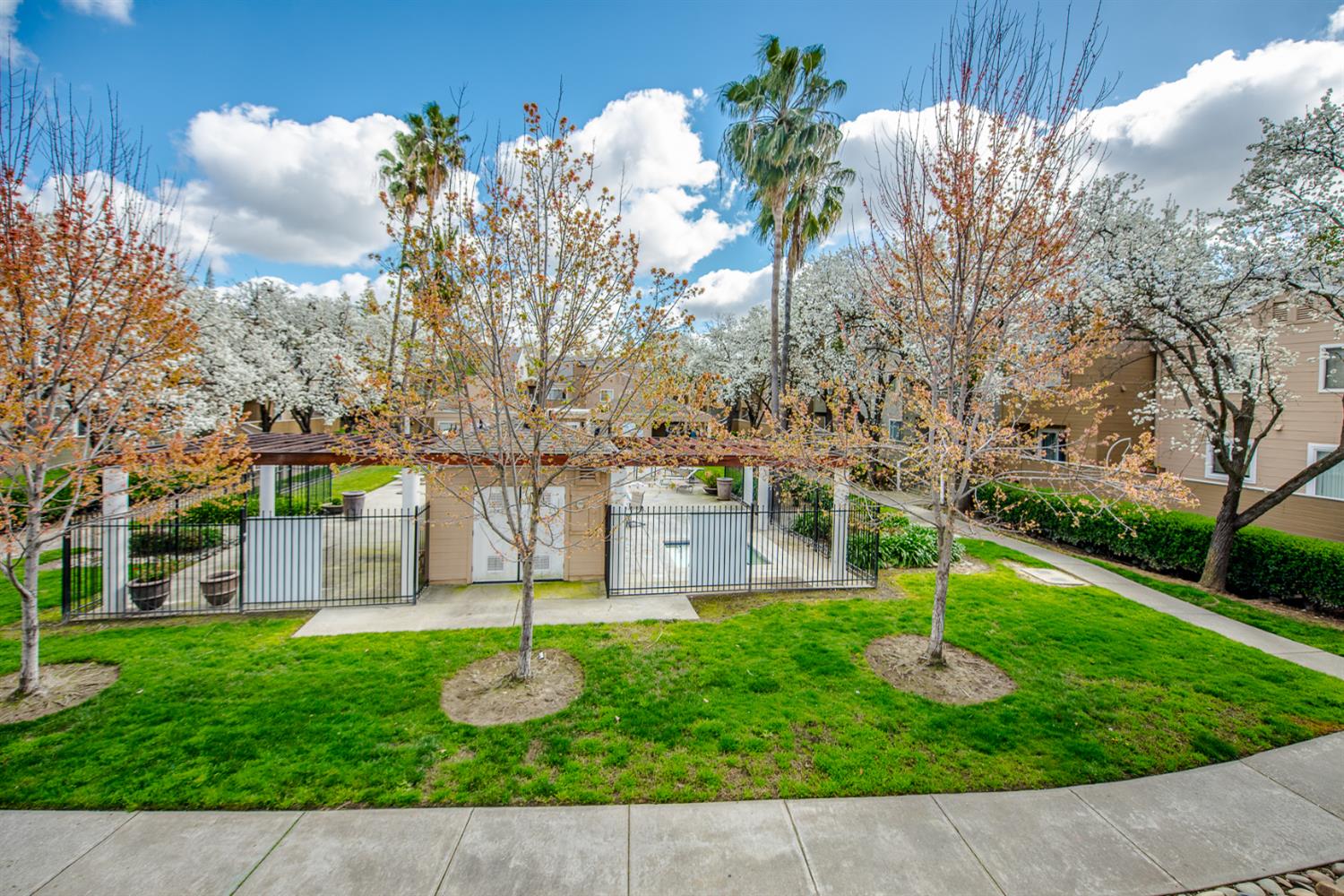 1019 Dornajo Way 244