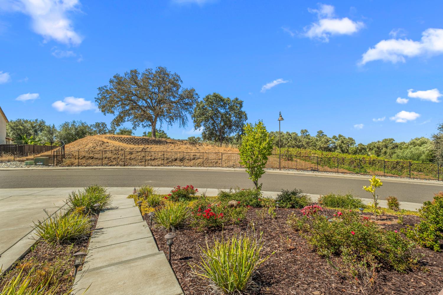 1721 Olive Heights Court