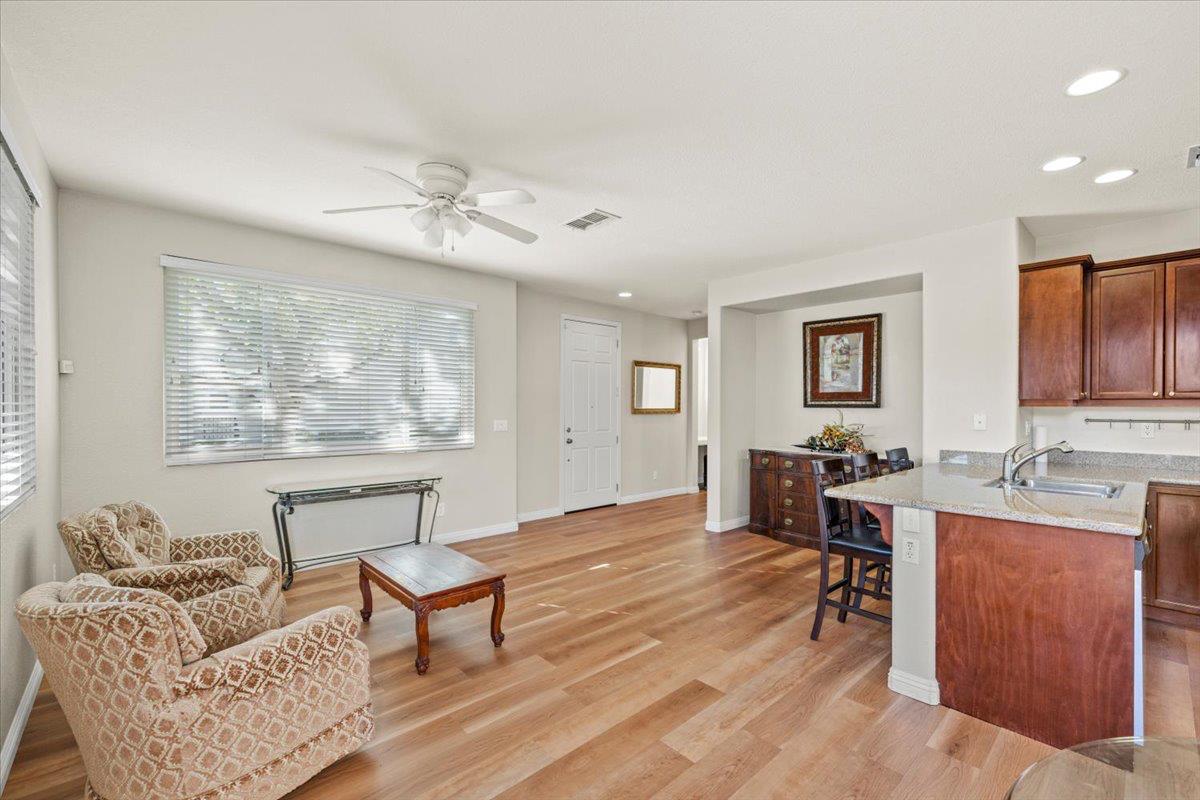 1000 Impressionist Loop