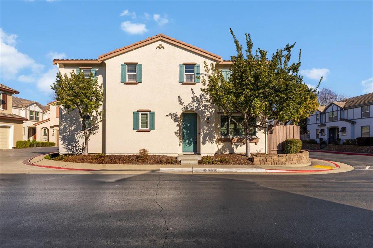 1000 Impressionist Loop