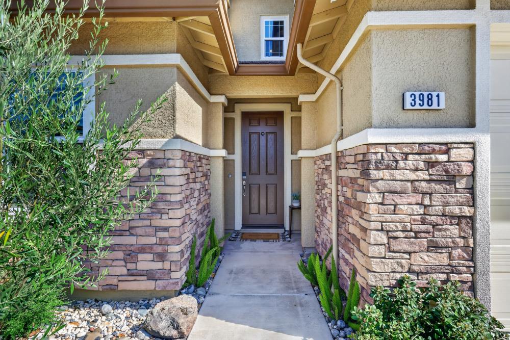 3981 Deergrass Circle