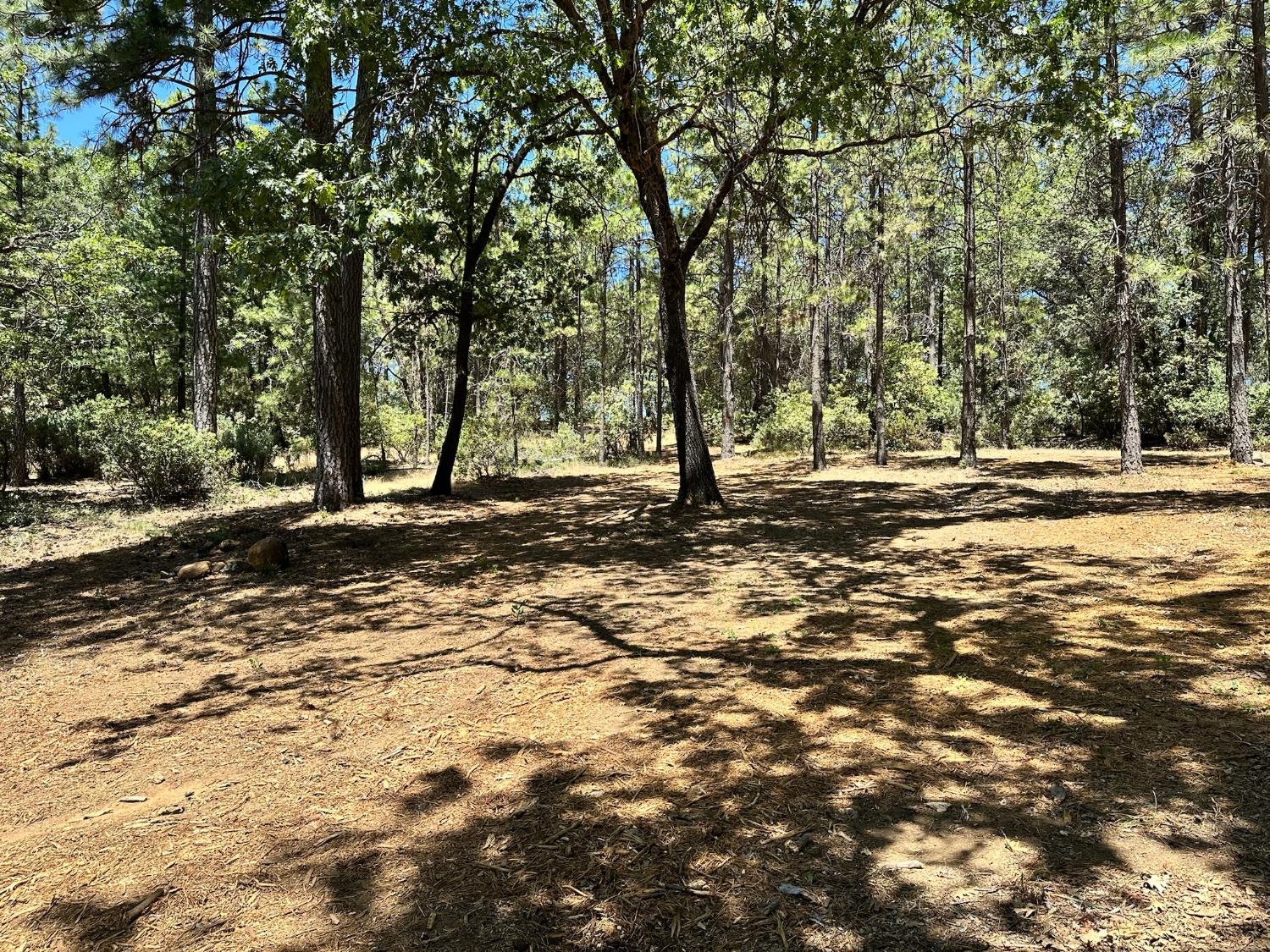 1860 E Summit View Drive