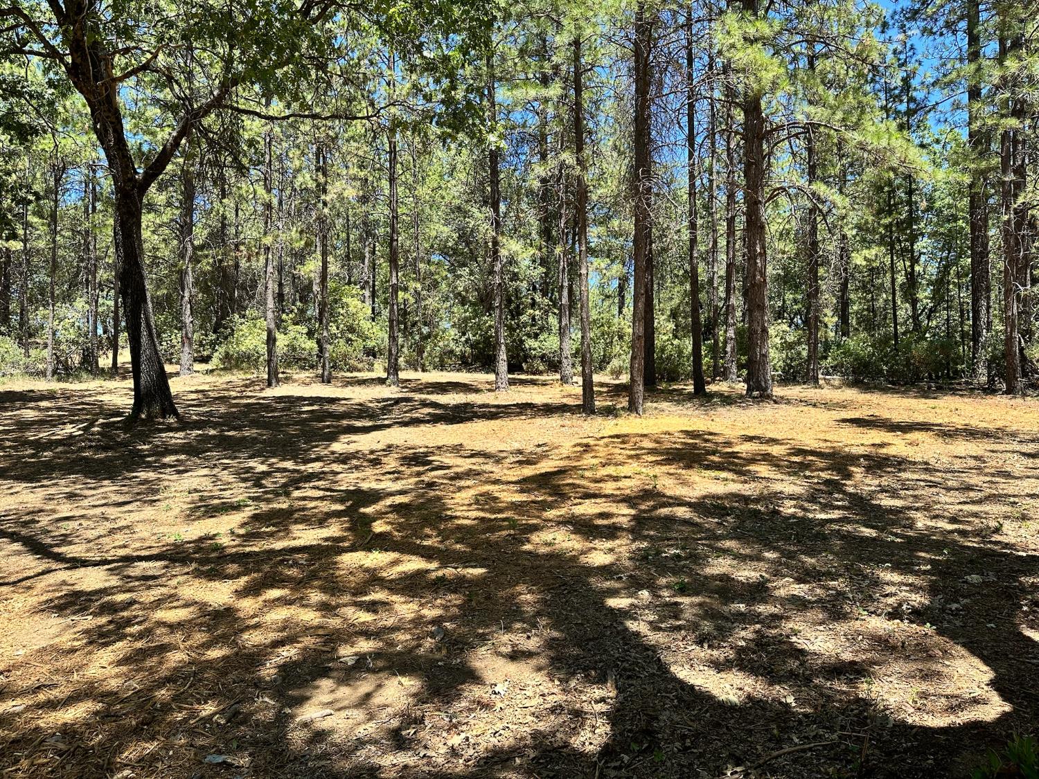 1860 E Summit View Drive