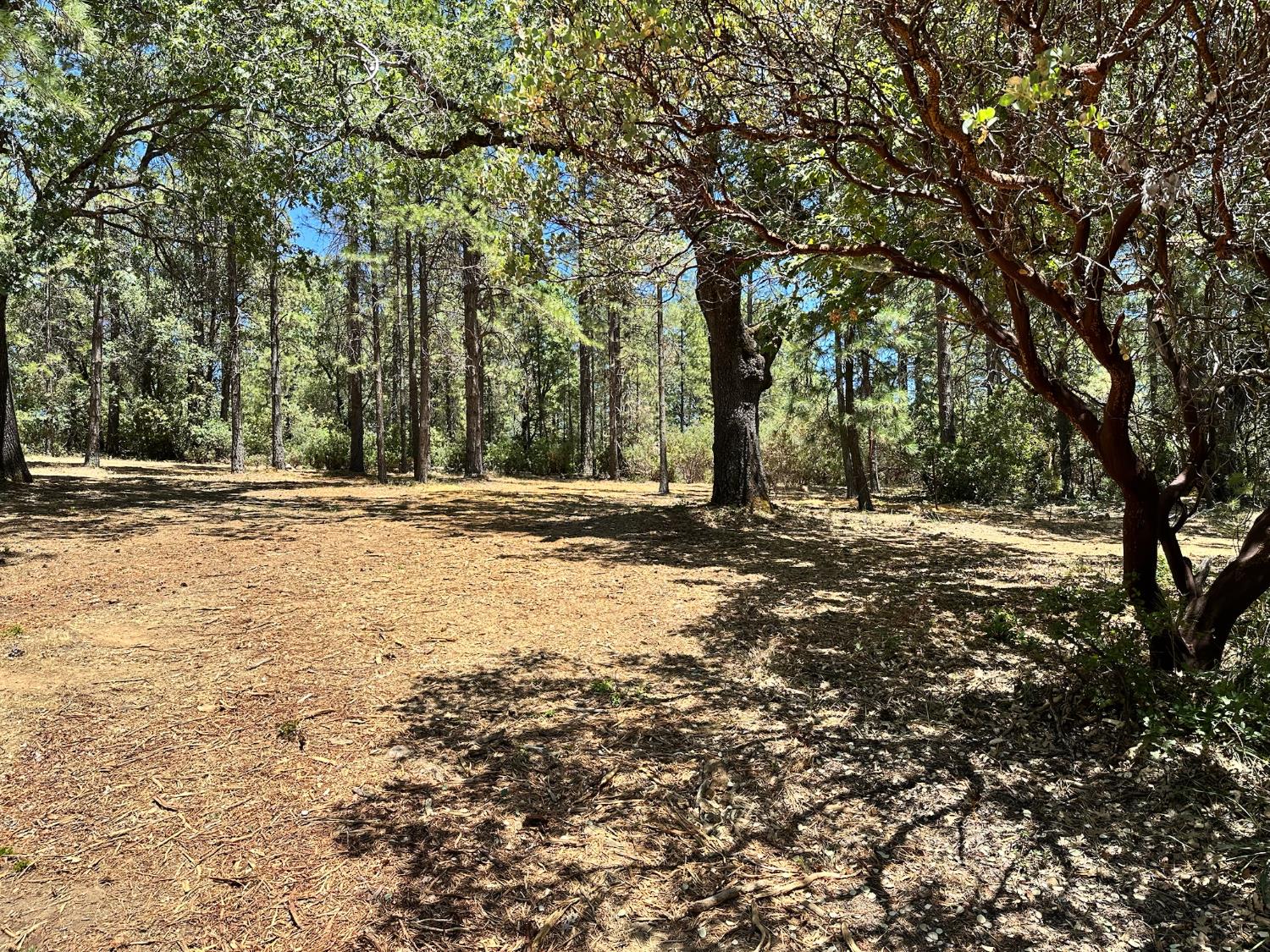 1860 E Summit View Drive