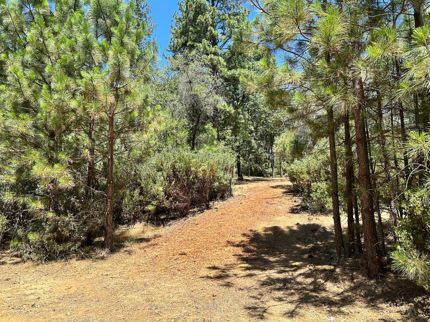 1860 E Summit View Drive