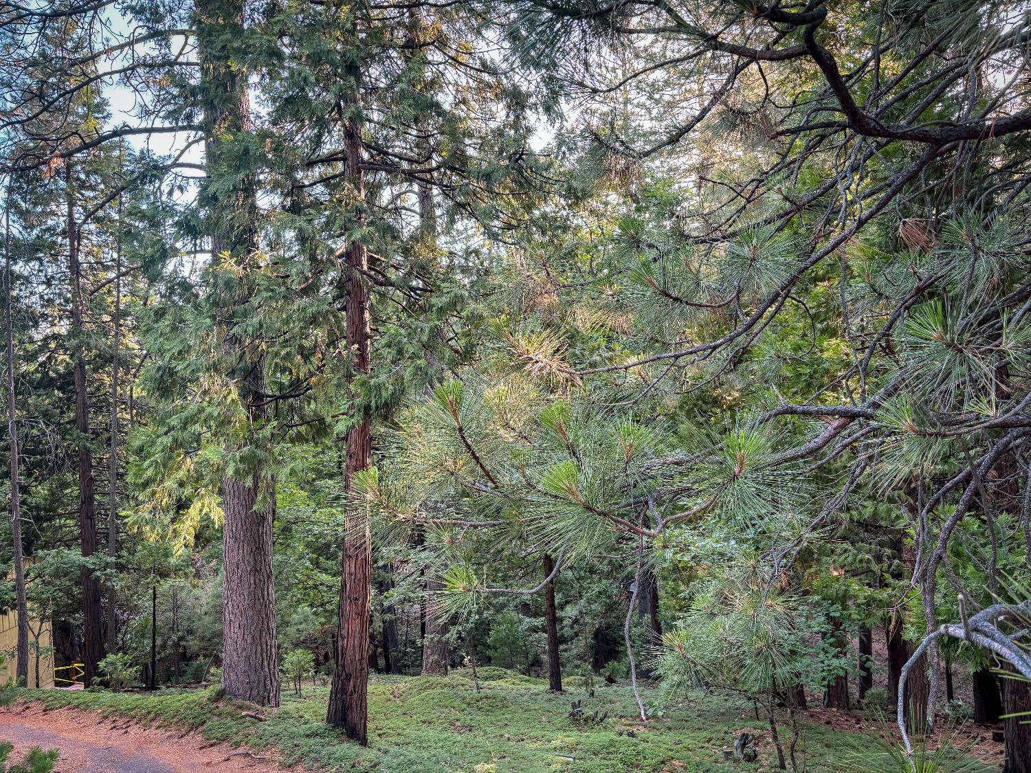 1800 Kit Carson Circle