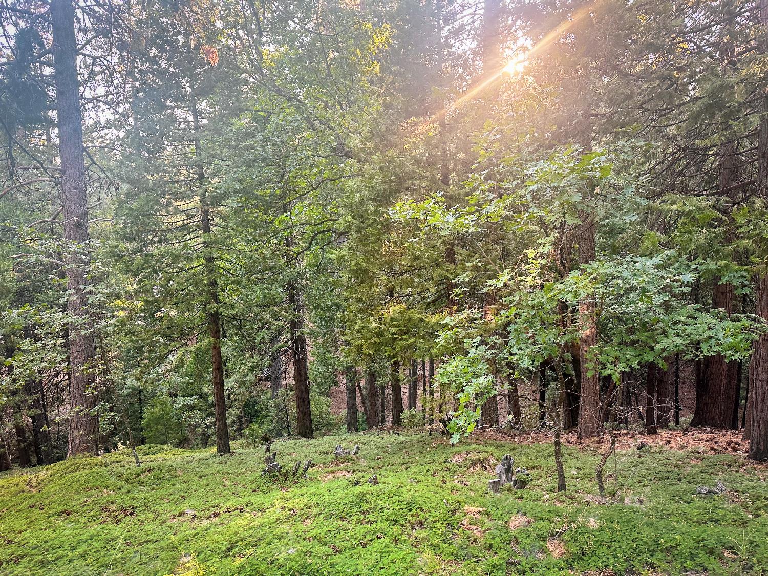 1800 Kit Carson Circle