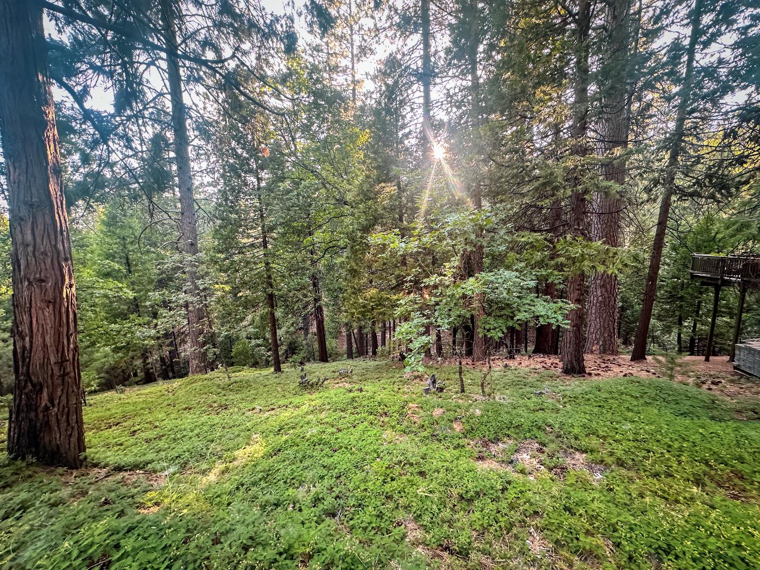 1800 Kit Carson Circle