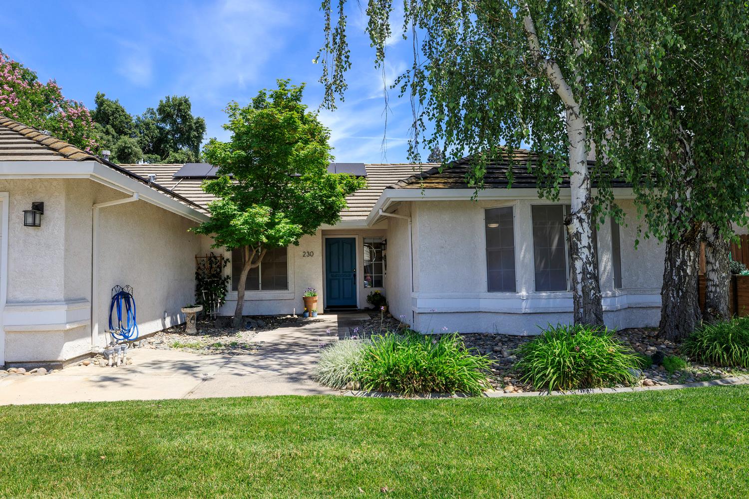 230 Meyenberg Avenue