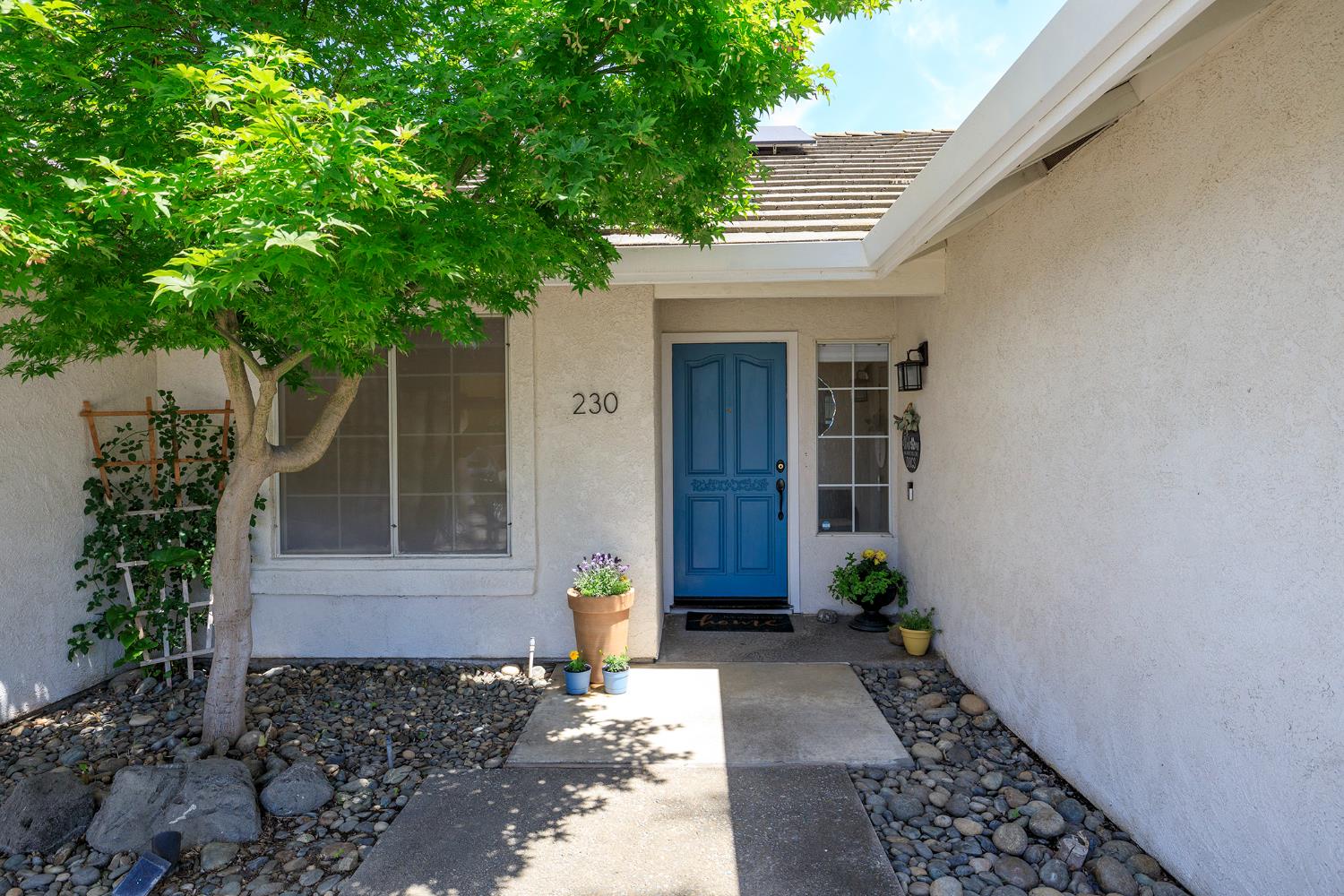 230 Meyenberg Avenue