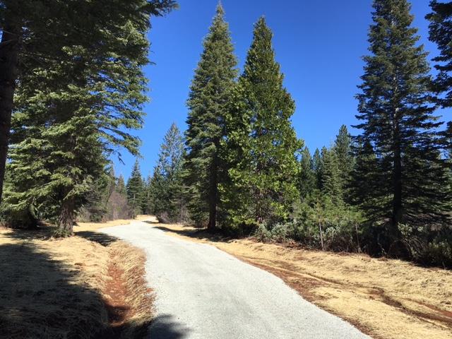 22281 Back Bone Road