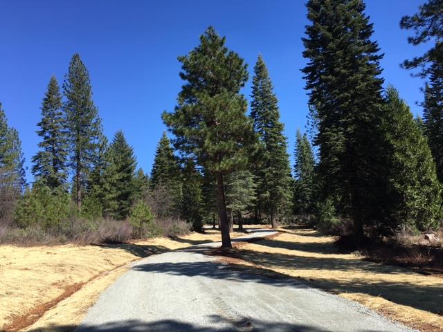 22281 Back Bone Road