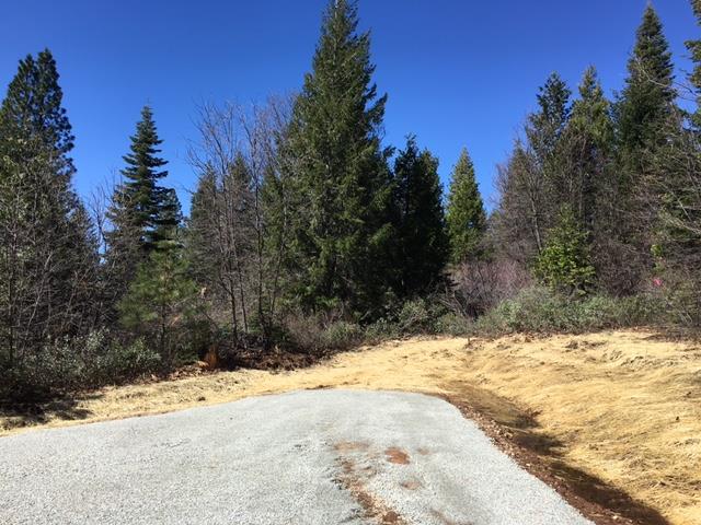 22281 Back Bone Road