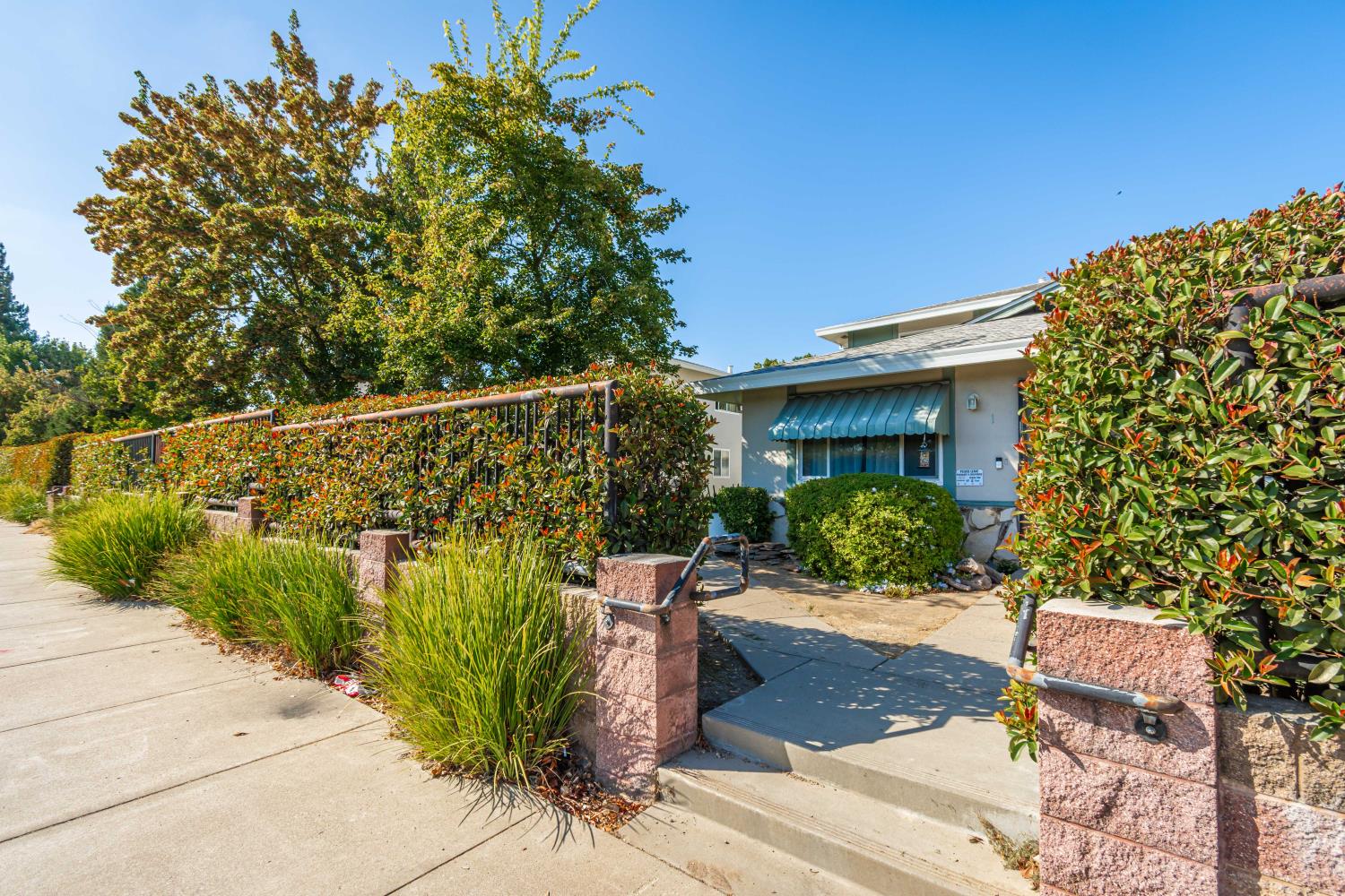 6517 Greenback Lane 4