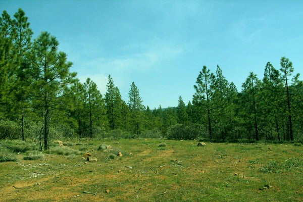 ALLEN, BROWNSVILLE, CA 95919 - Image eec5b6a7dfee3bb0cb4e55c11129a538/1839736768