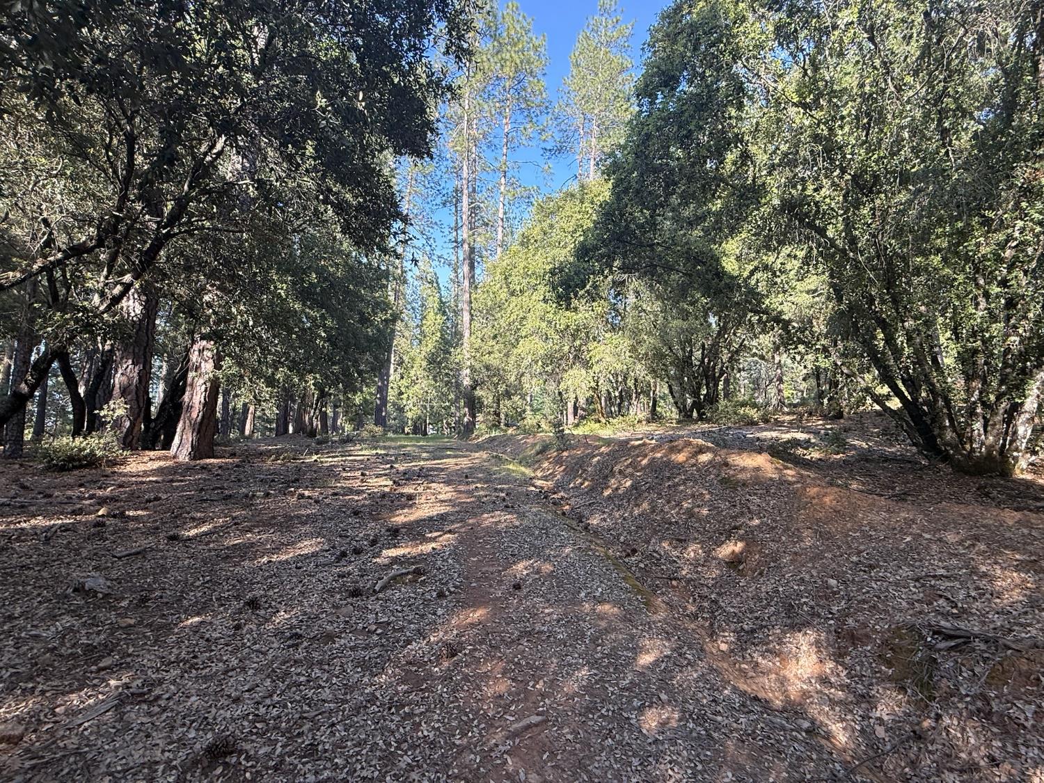 0 Pine Cone Lane