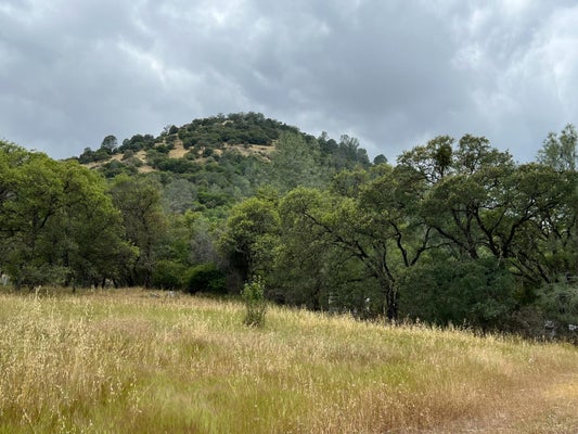 10840 POOL STATION RD, ANGELS CAMP, CA 95222 - Image ef1d5b52ae4be5a5d8e4b3d7172ae79e/2495840264