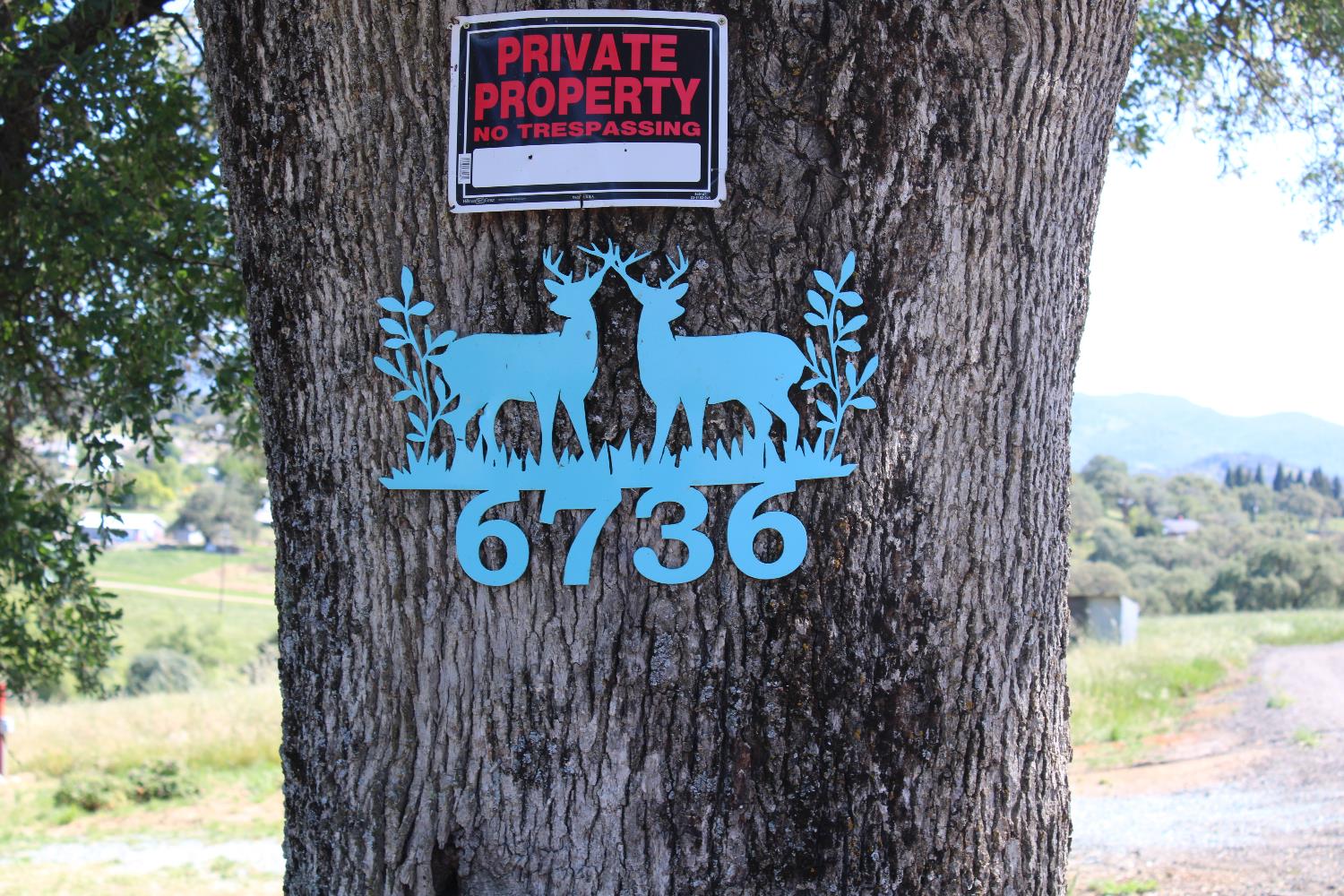 6736 Messinger Flat Road