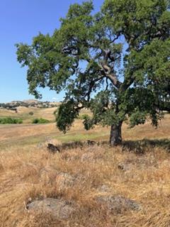 9596 Paraiso Boulevard