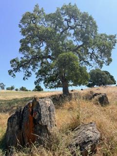 9596 Paraiso Boulevard