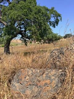 9596 Paraiso Boulevard