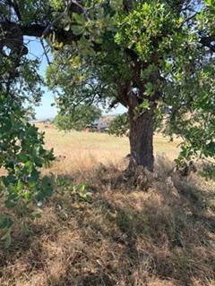 9596 Paraiso Boulevard