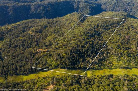 15793 Black Prince Road Pioneer CA 95666