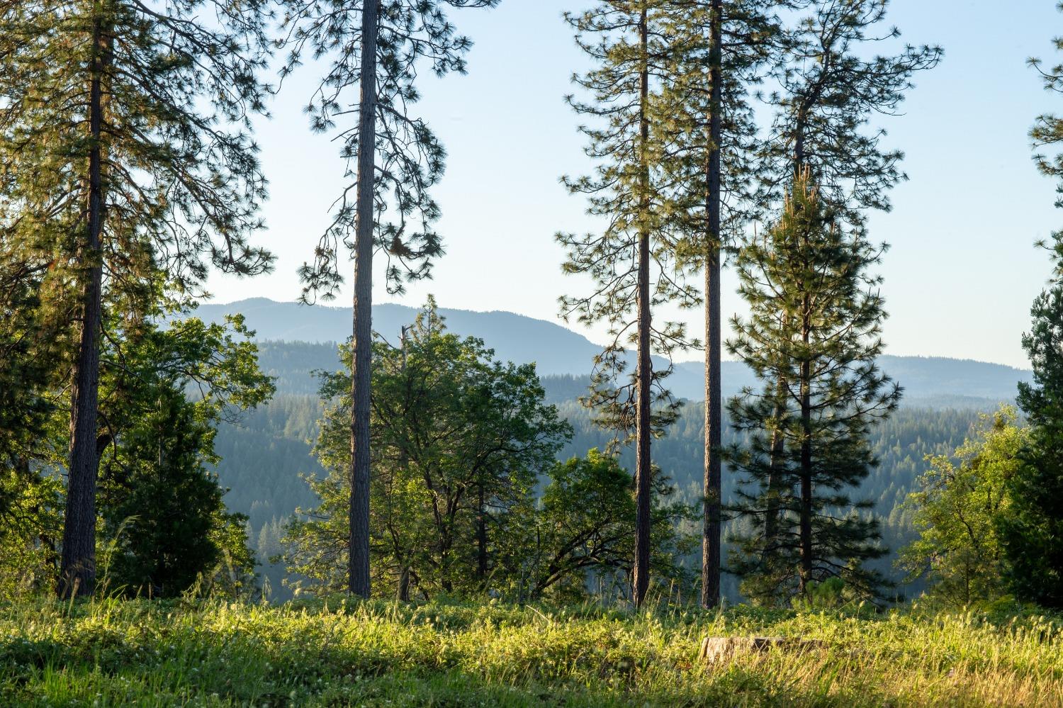 15793 Black Prince Road