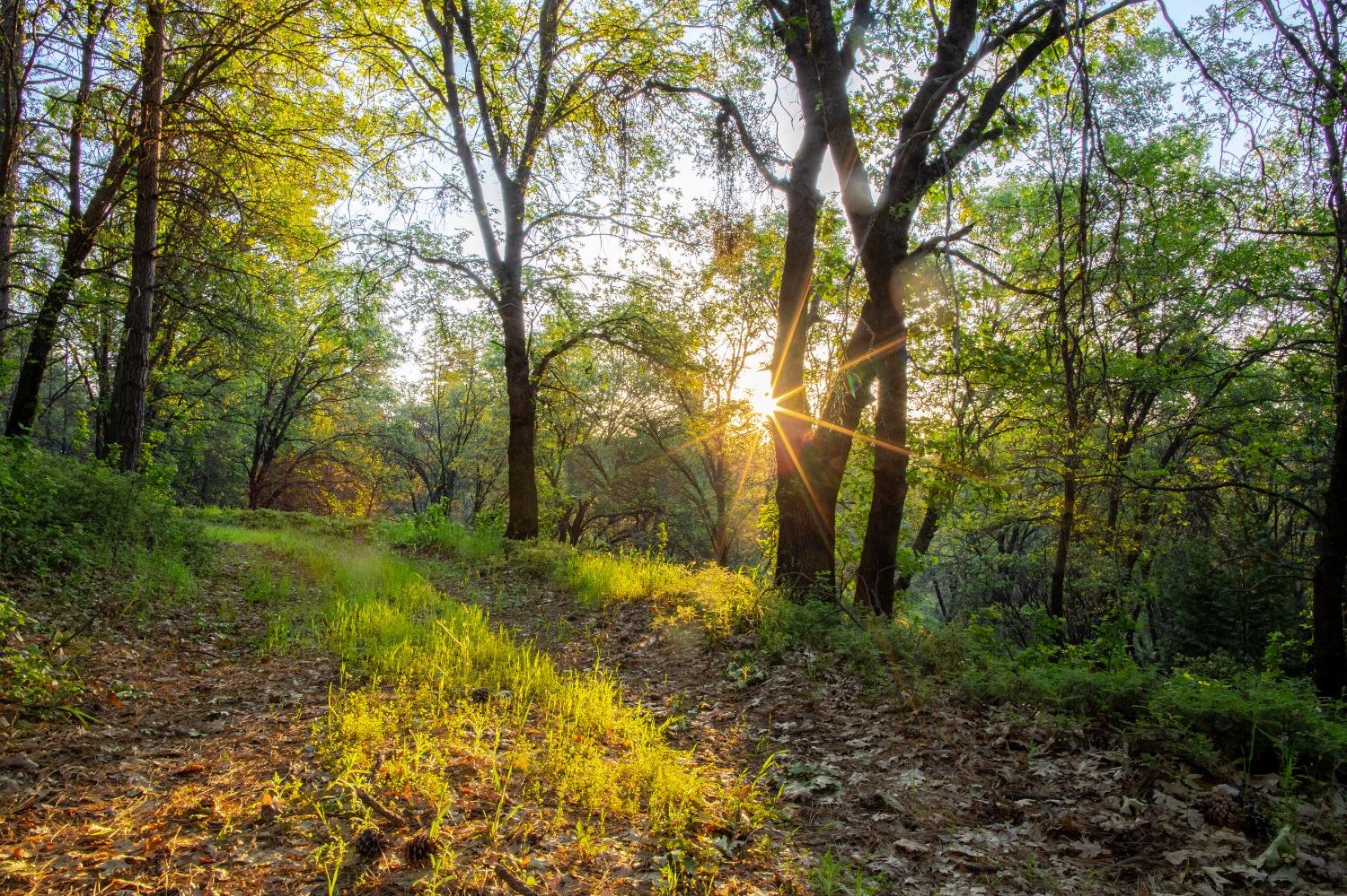 15793 Black Prince Road