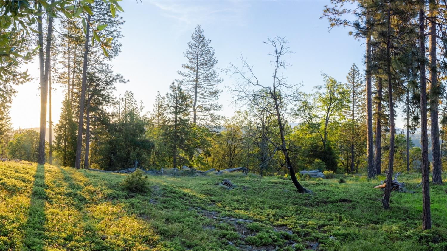 15793 Black Prince Road