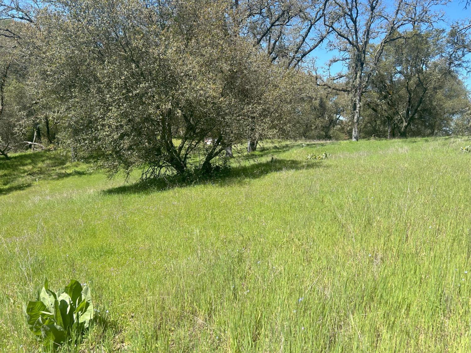 4600 Summer Creek Court