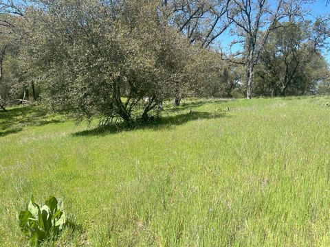 4600 Summer Creek Court Shingle Springs CA 95682