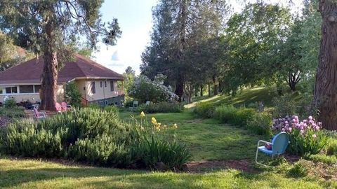 15579 Jesus Maria Mokelumne Hill CA 95245