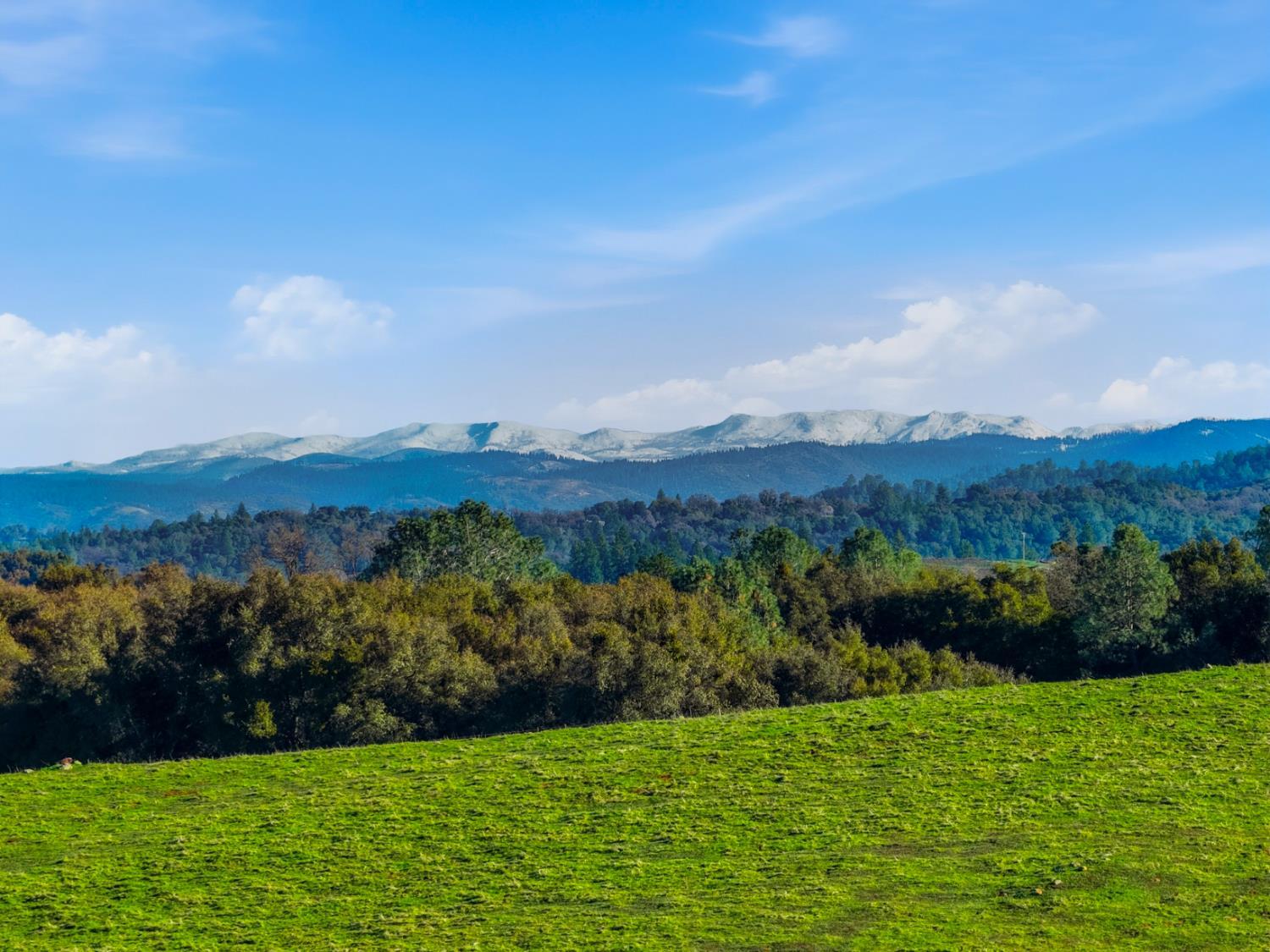 11777 Shenandoah Road