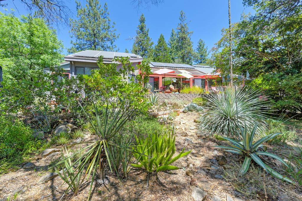 15288 William Drive