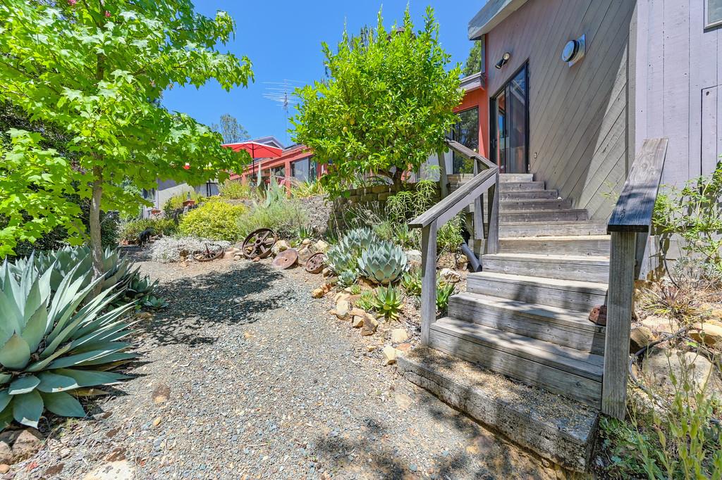 15288 William Drive