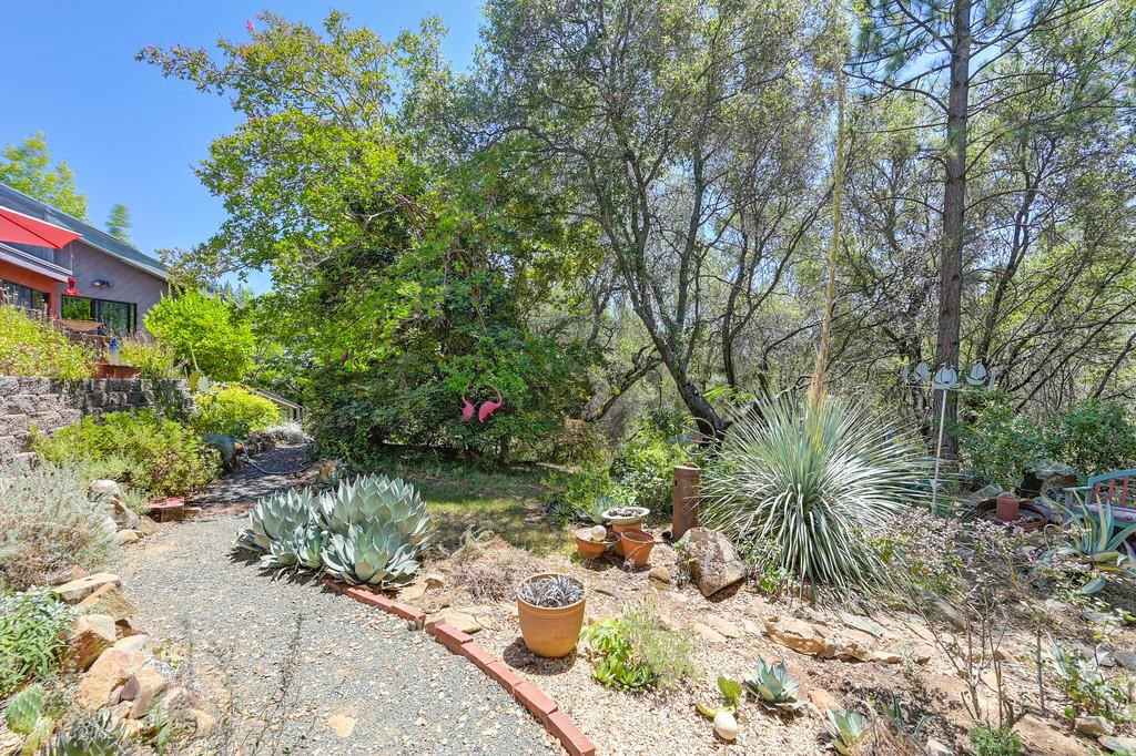15288 William Drive