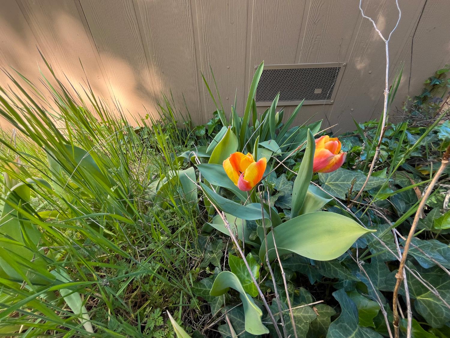 14619 Old Marysville Road